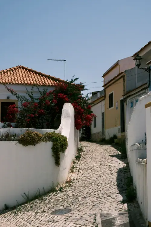 Professional Removals to and from Portugal ###Regal Moving & Storage###