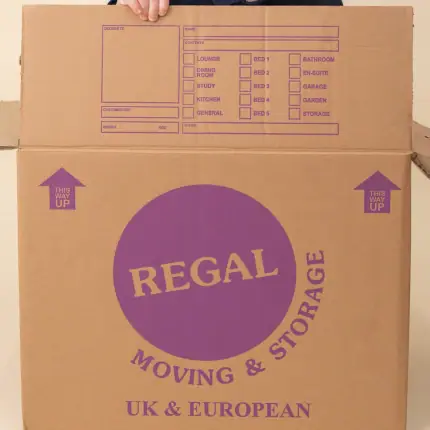 Large Moving Box
