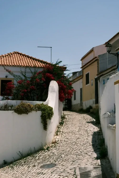 Portugal removals, Regal Moving & Storage