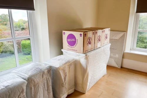 European & International Removals
