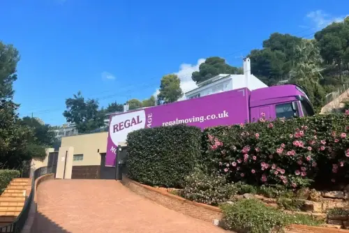 European & International Removals