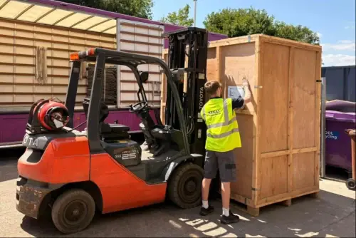 European & International Removals