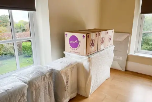 European & International Removals